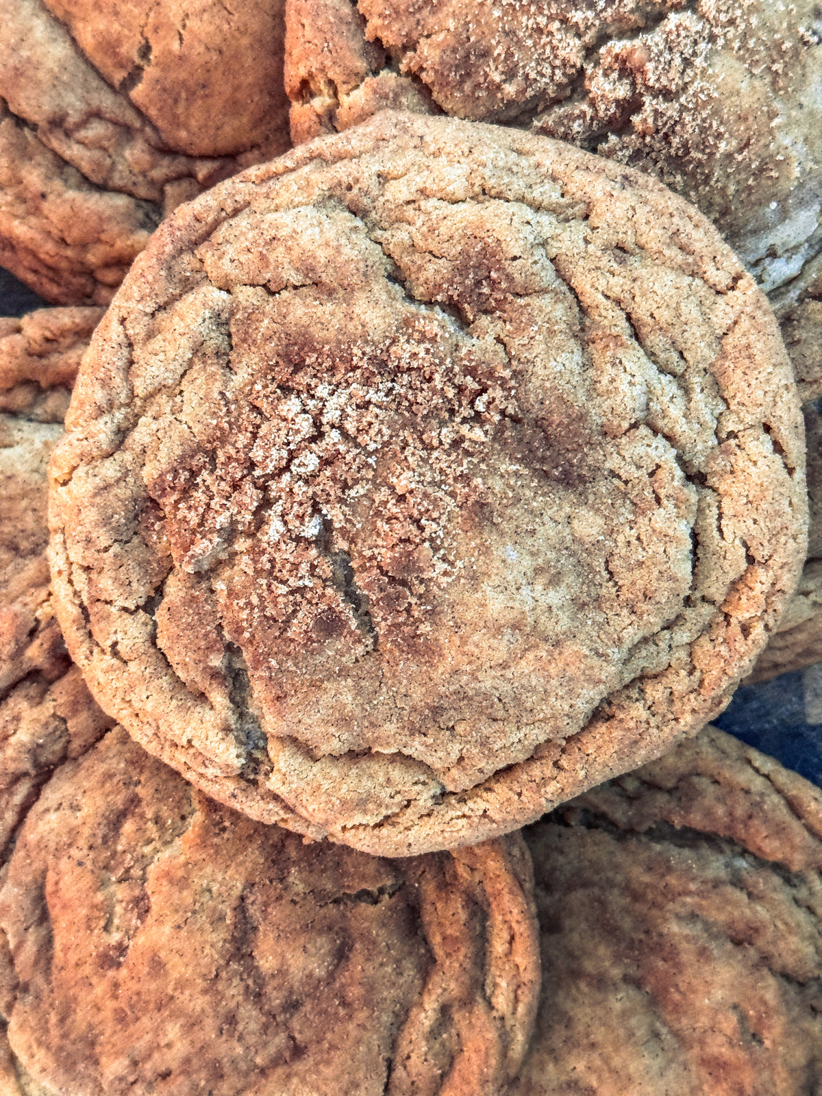 Chewy Maple Cookies - 3-Pack