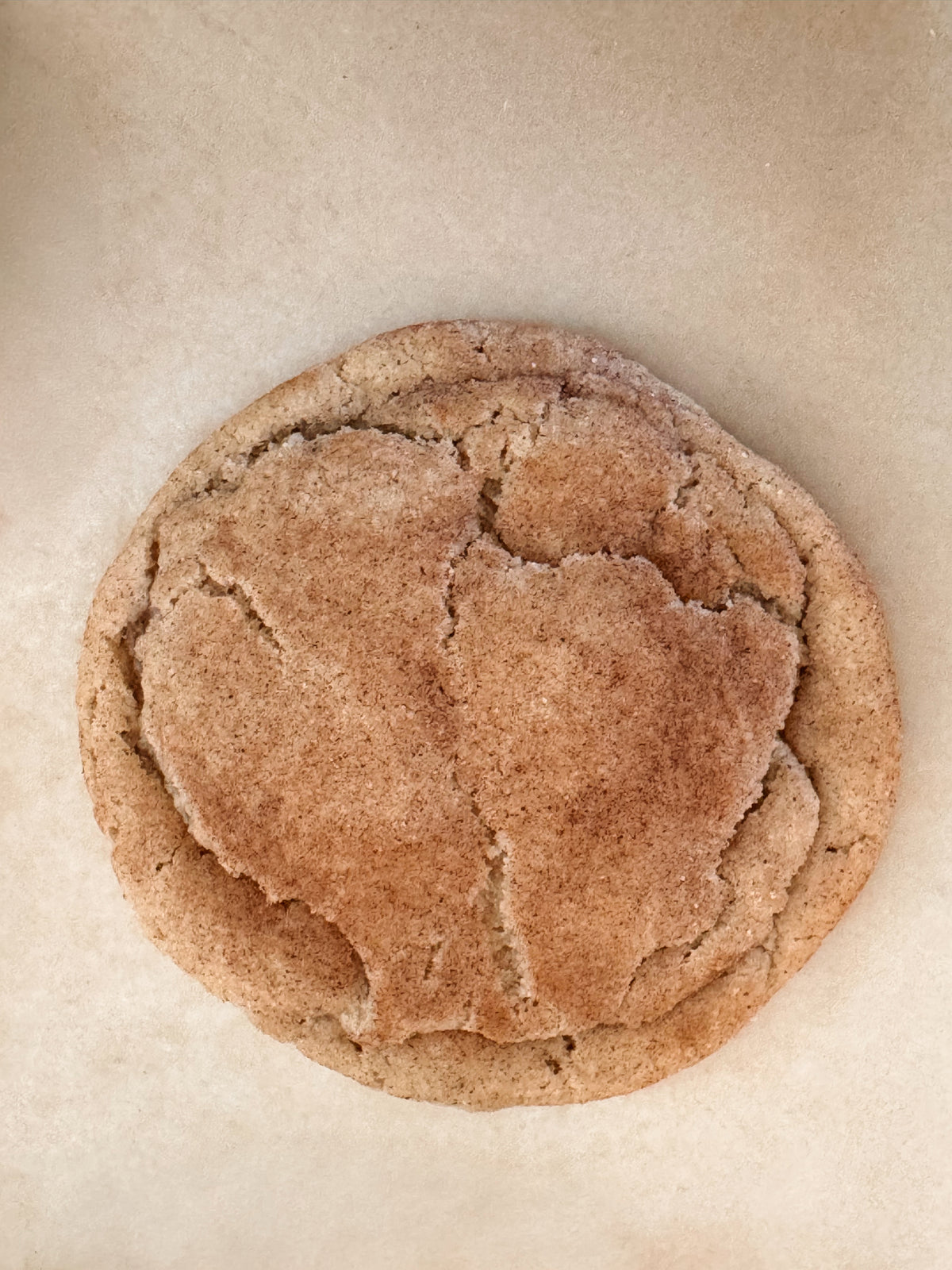 Big, Chewy Snickerdoodles - Dozen