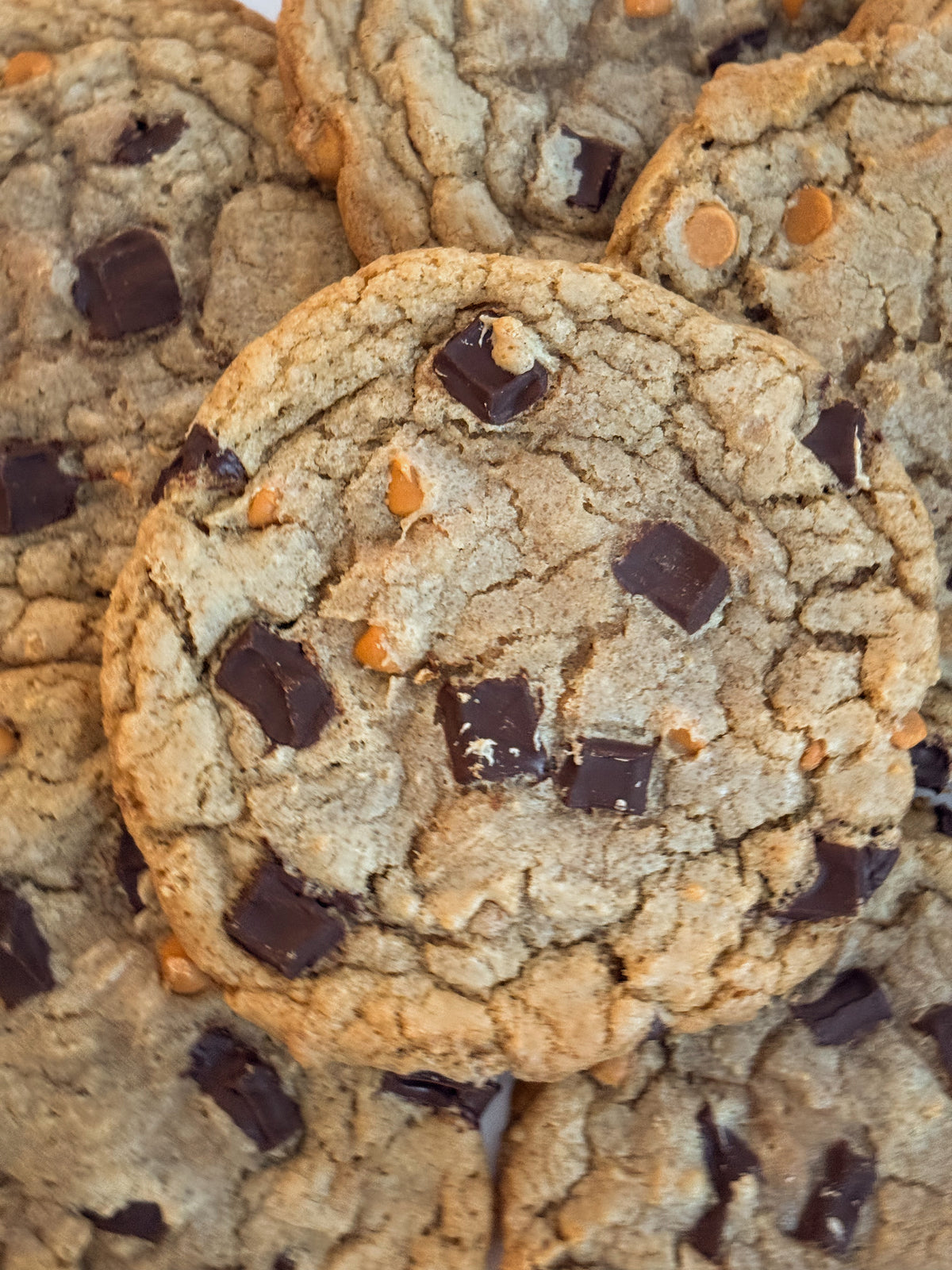 Chocolate Chip House Cookie - 3-Pack