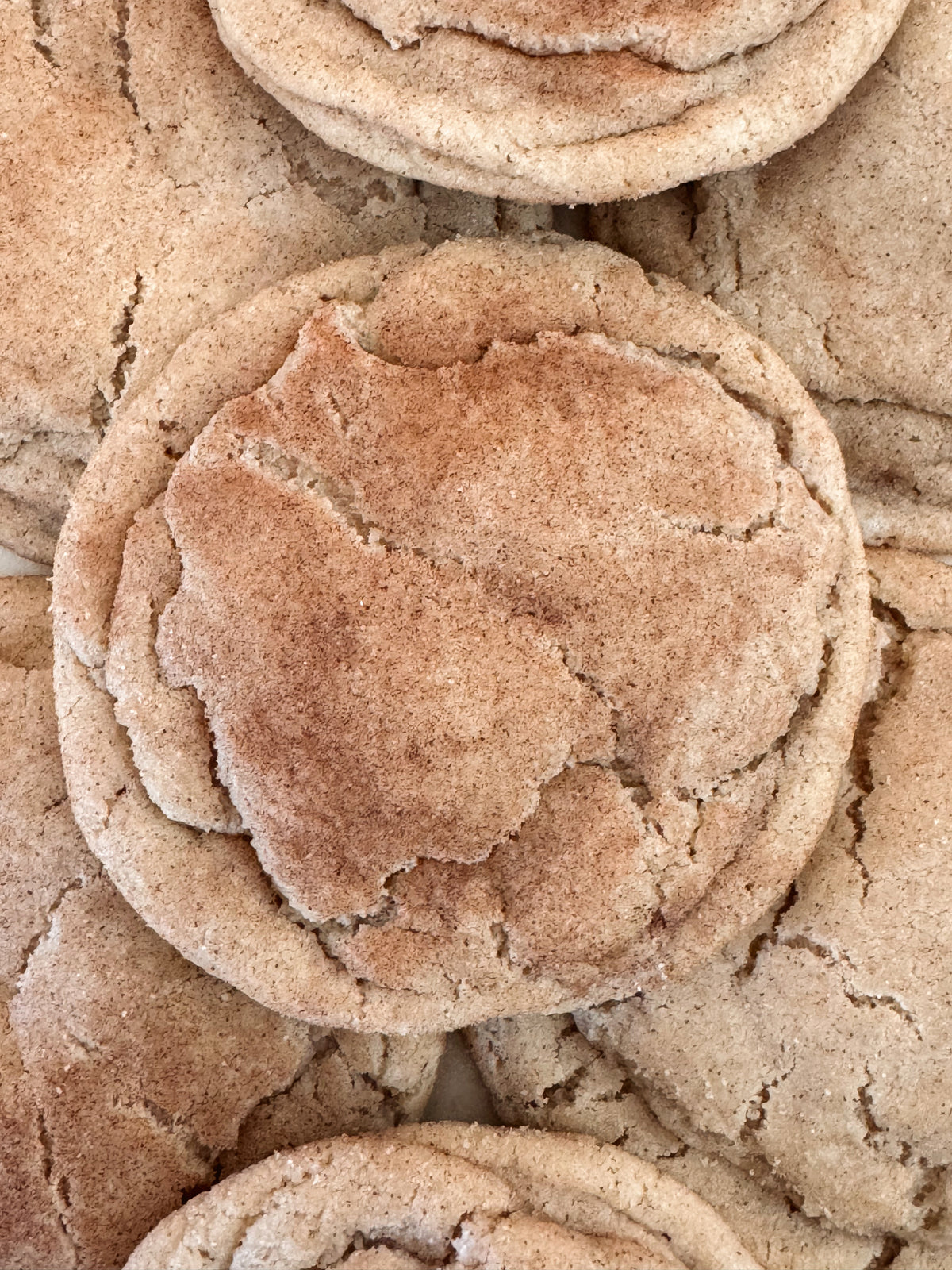 Big, Chewy Snickerdoodles - Dozen